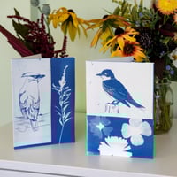 Image 1 of Cyanotype Bird Greeting Cards