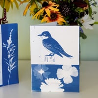 Image 2 of Cyanotype Bird Greeting Cards