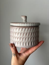 Image 1 of Terracotta lidded canister 