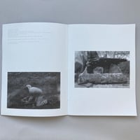 Image 2 of Ancestor Houses by Hugo Winder-Lind