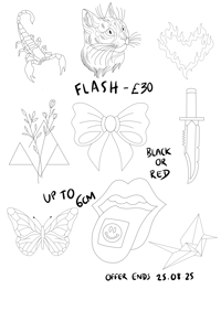 Image 3 of FLASHHHH