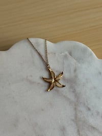 Image 3 of White Shell Starfish Necklace (Gold)