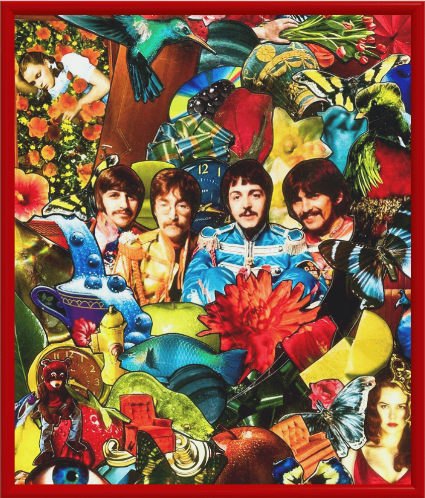 Image of The Octopus’s Garden