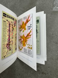 Image 5 of Kohei Sugiura - Kohei Sugiura [ggg Books 100]