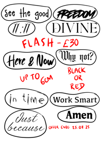 Image 4 of FLASHHHH