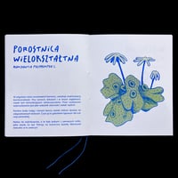Image 4 of Ruderalne