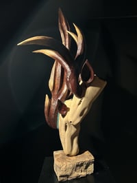 Image 1 of LINKED SOULS