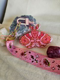 Image 2 of The Four Season Moth