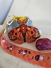 Image 4 of The Four Season Moth