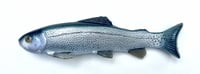 9.25" Line Through/Weedless Trout - Washout