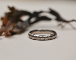 Image of 18ct White gold 4mm horn texture ring