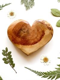 Image 2 of Knotty Heart 1