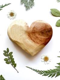 Image 5 of Knotty Heart 1