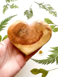 Image 1 of Knotty Heart 1