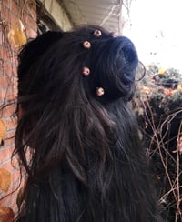 Image 4 of Bronze Pumpkin Bobby Pins ~ set of 2