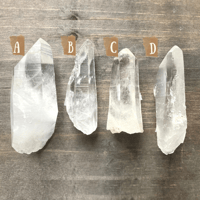 Image 4 of Lemurian Quartz Crystal Points from Colombia – Raw Clear Quartz for Meditation & Energy Healing