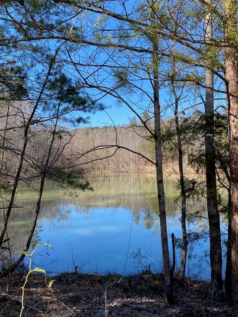 The Creeker Magazine - Celebrating the Community of Sale Creek