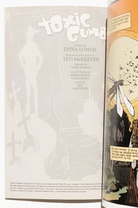 Image 2 of Toxic Gumbo by Ted McKeever and Lydia Lunch