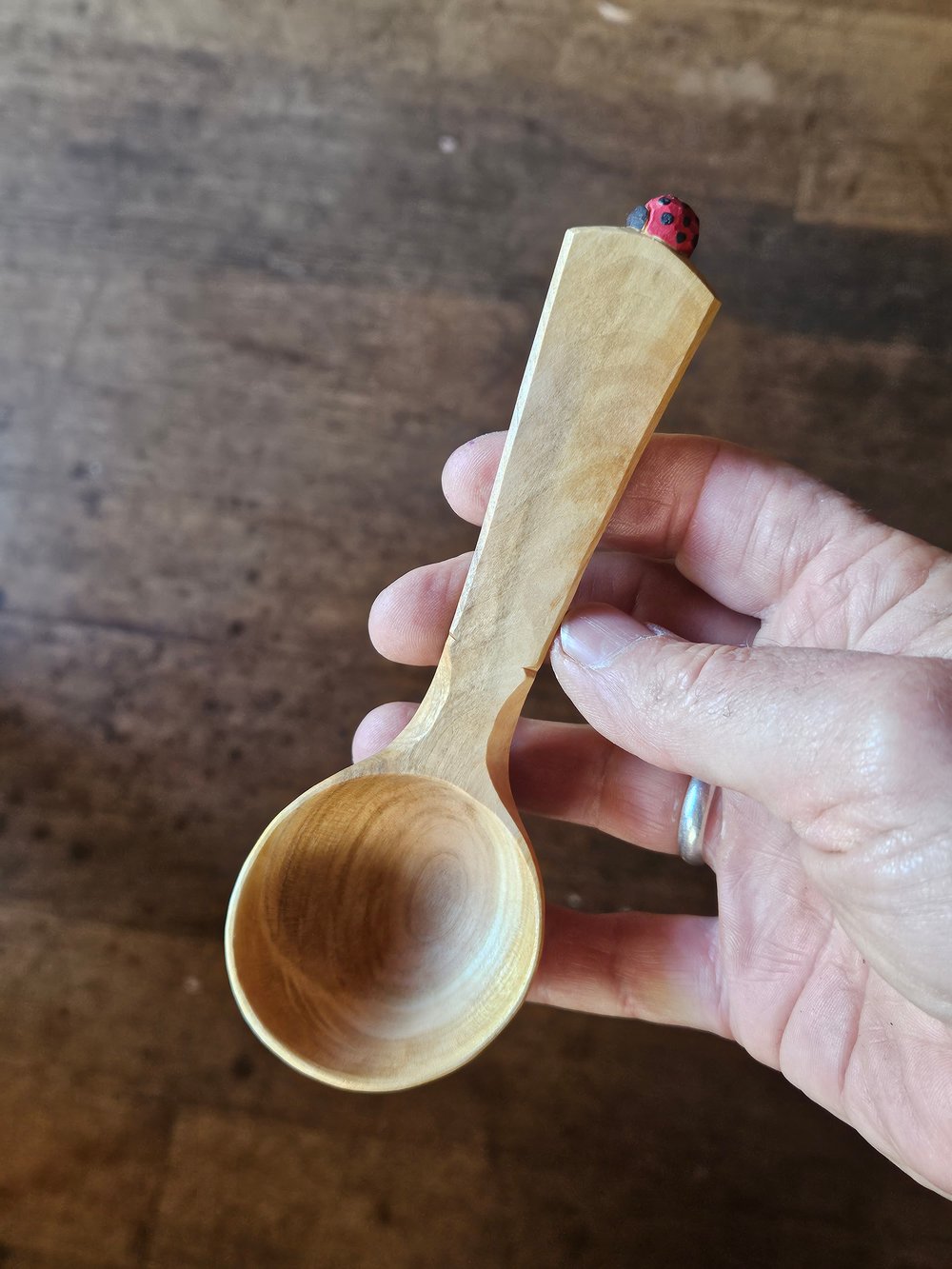 Image of Cherry Ladybeetle Scoop 