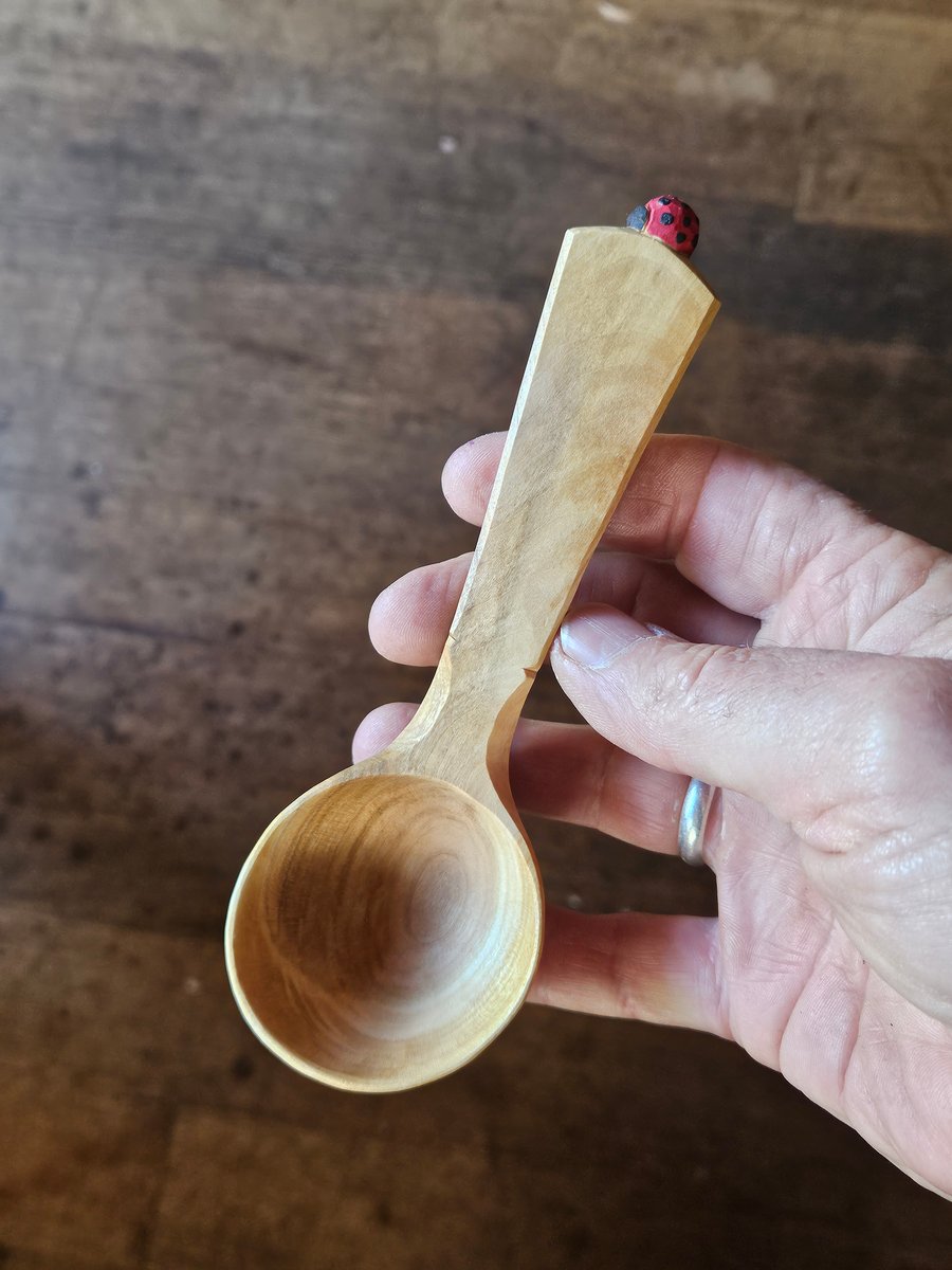 Image of Cherry Ladybeetle Scoop 