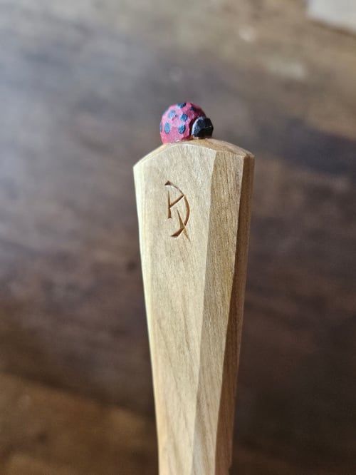 Image of Cherry Ladybeetle Scoop 