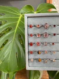 Image 7 of Early Autumn Crystal Rings