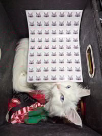 [hiss] sticker sheet (extra small, no text)