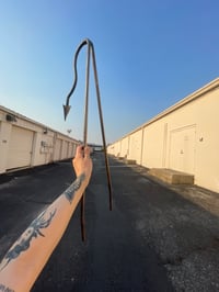 Image 1 of Devil's Tail Sissy Bar