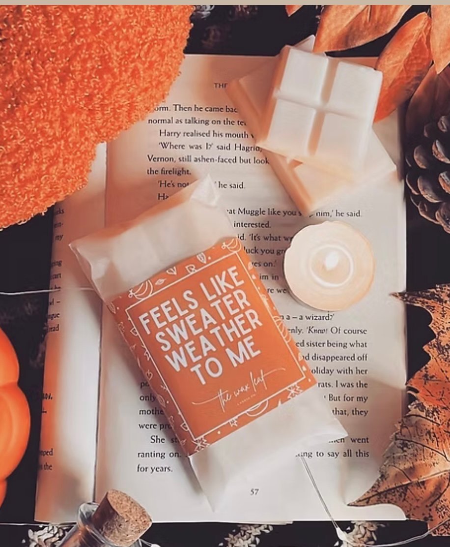 Image of Autumn Wax Melts 🎃🍁