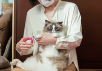Image 9 of SUWADA Pet Nail Nipper