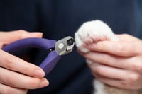 Image 10 of SUWADA Pet Nail Nipper