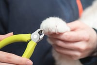 Image 11 of SUWADA Pet Nail Nipper