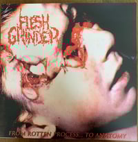 Image 2 of Flesh Grinder / Lymphatic Phlegm - From Rotten Process... to Splatter /Malignant Cancerous Tumour LP