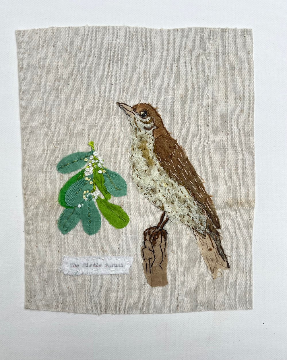 Image of The Mistle Thrush