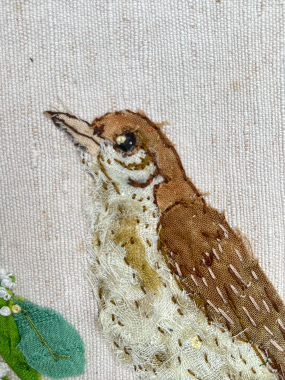 Image of The Mistle Thrush