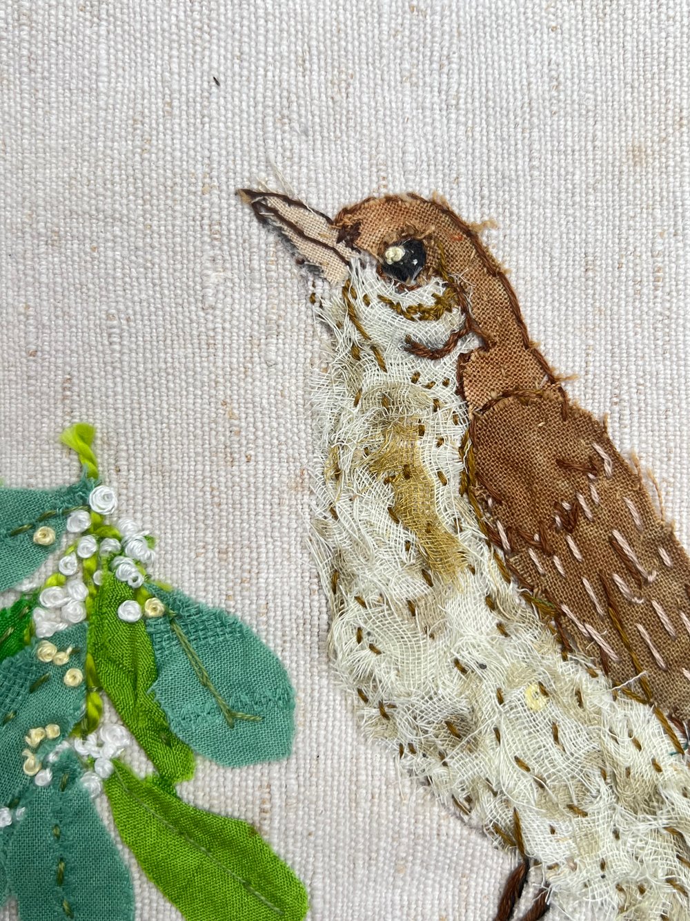 Image of The Mistle Thrush