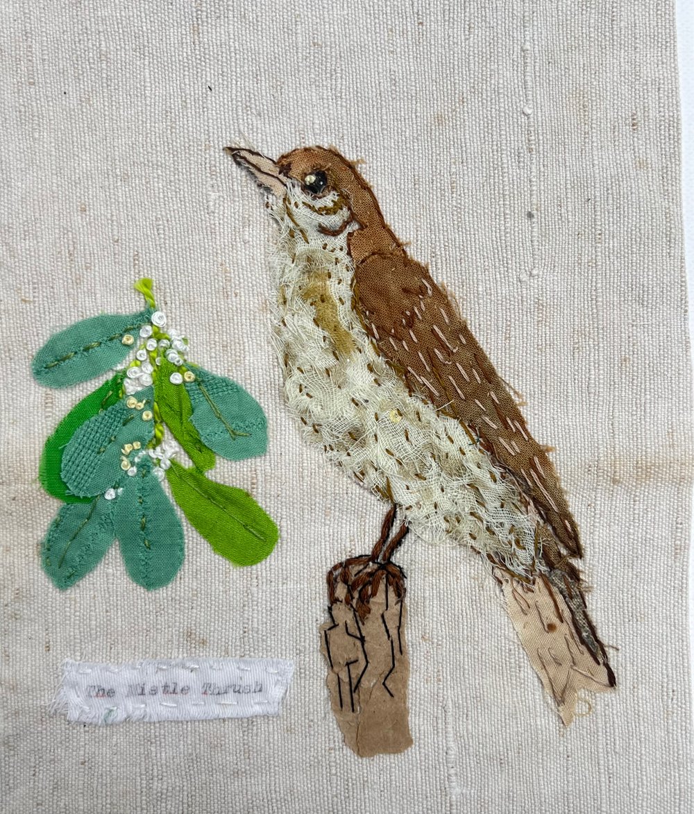 Image of The Mistle Thrush