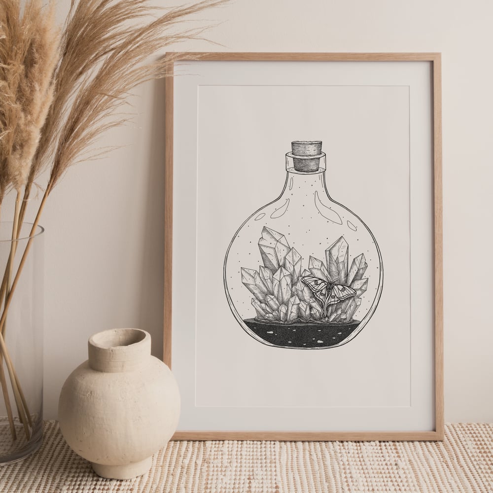 Image of 'Crystal' Tiny World Bottles - Fine-art print