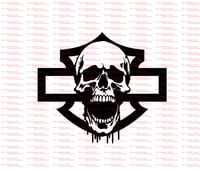 Image 3 of Necrotic Skull and Shield Graphic