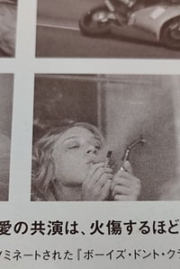 Image 4 of THE BROWN BUNNY JAPANESE POSTER