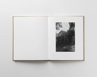 Image 5 of From This Side 