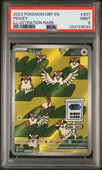 Image 1 of [PSA 9] 2023 POKEMON OBF EN-OBSIDIAN FLAMES #207 PIDGEY ILLUSTRATION RARE