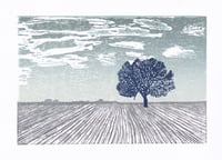 Lone Oak - Winter Blue