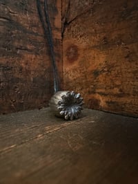 Image 4 of White Bronze Poppy Seed Pod ~ small 