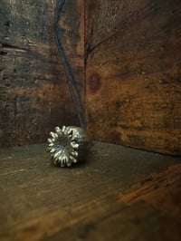 Image 3 of White Bronze Poppy Seed Pod ~ small 
