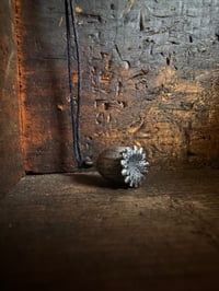 Image 2 of White Bronze Poppy Seed Pod ~ small 