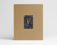 Image 1 of From This Side 