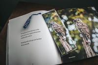 Image 3 of Bookmarks