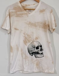 Image 2 of Cafe Con Leche II: To Be Or NOt TO BE