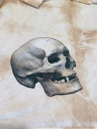 Image 1 of Cafe Con Leche II: To Be Or NOt TO BE